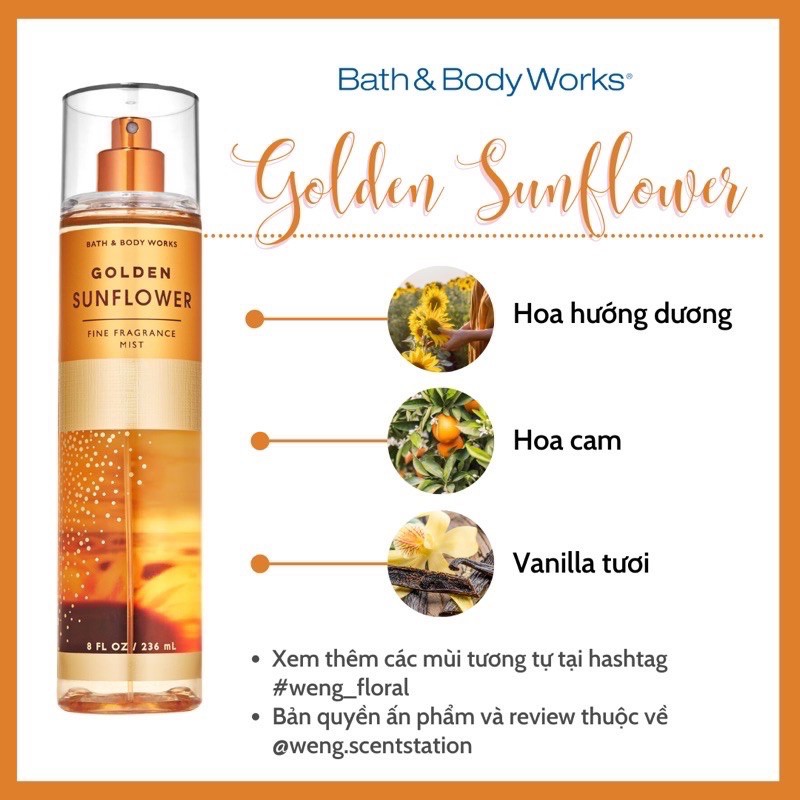 Xịt thơm Bath & Body Works mùi Golden Sunflower (Like New)