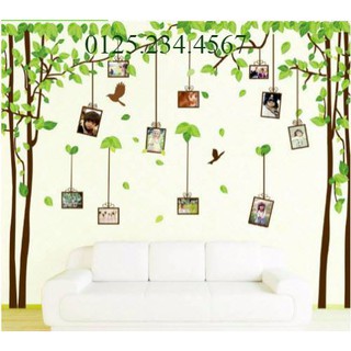 Decal dán tường Cây khung ảnh