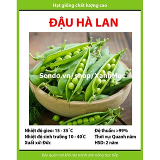 Hạt giống Đậu Hà Lan - Gói 10g