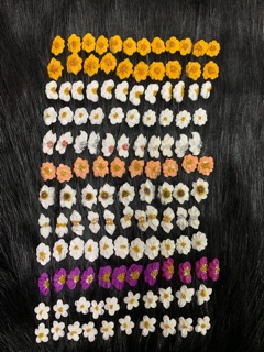 Hoa bột móng nail(kiểu NN sĩ ib sĩ tặng nơ bột)’.