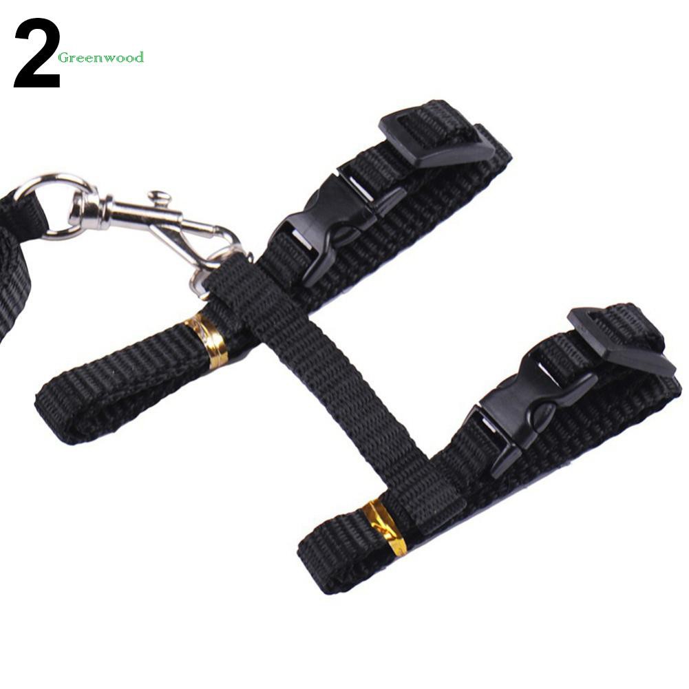 Dây đeo dắt mèo đi dạo thiết kế thoải mái