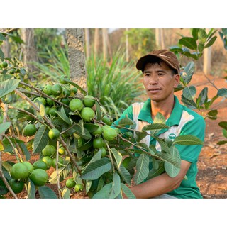 Đạm Cá Nước Ngọt (phân cá) chai 1 lit.