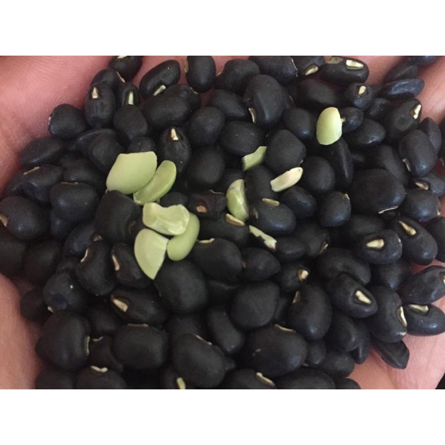 500gr Đậu Đen Xanh Lòng - Đỗ Đen Xanh Lòng Hữu Cơ Organic Sạch Thuần Chủng - Nông Sản Quê SallyFood | BigBuy360 - bigbuy360.vn