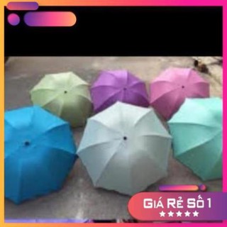 Ô ma thuật gặp mưa nở hoa