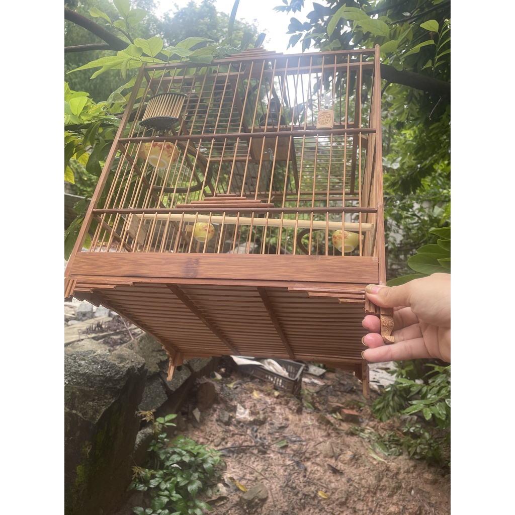 Khung lồng chào mào tre già, trúc già TỰ RÁP dáng thái , vuông đấu cực bền đẹp rẻ Phụ Kiện Lồng Chim L003