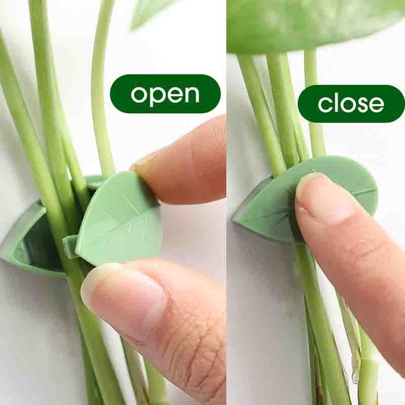 Set 10 Kẹp Giữ Dây Leo Cây Thân Xanh Trong Suốt Tiện Dụng