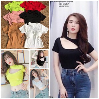 55-90kg bigsize áo khoét ngực gợi cảm 6 màu