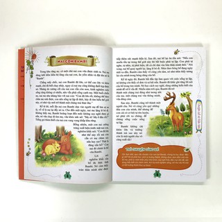 365 Truyện Kể Hằng Đêm - Mùa Hè
