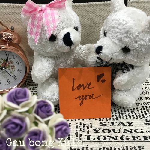 Gấu bông cặp cute