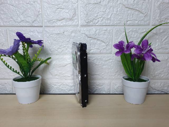 Ổ Cứng Seagate 500gb 3.5 Inch Cho Pc Và Cctv | BigBuy360 - bigbuy360.vn