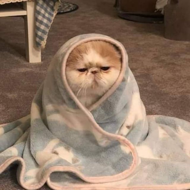 Old stuff find New owner