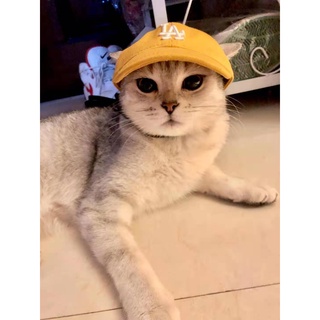 Mũ Bóng Chày Cho Thú Cưng