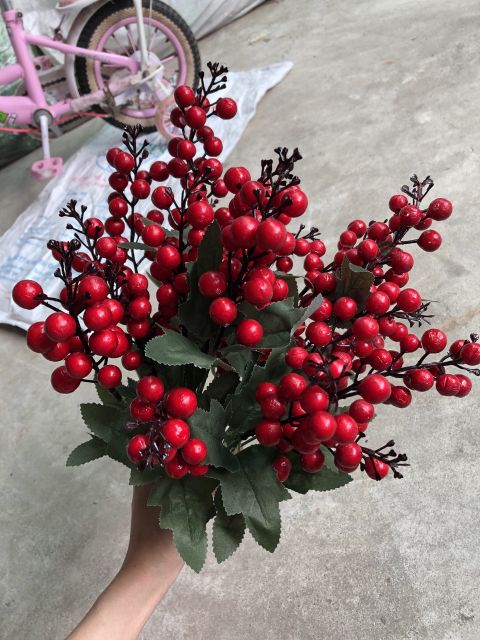 cherry chùm 7 nhánh trang trí nhà cửa