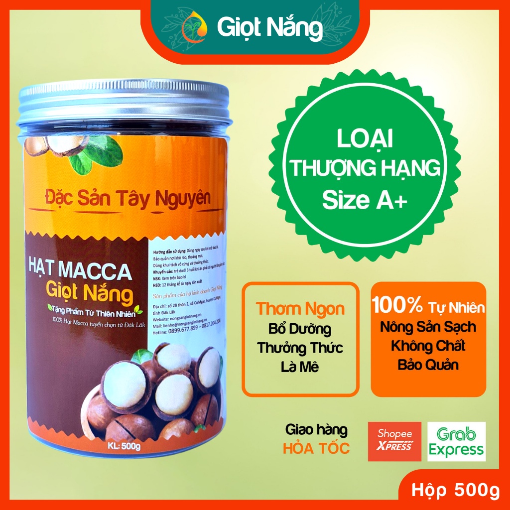 Hạt macca nứt vỏ mắc ca Đăk Lăk sấy lạnh quả dễ tách giá tận xưởng giàu dinh dưỡng cho Mẹ Bầu hộp 500g từ GIỌT NẮNG