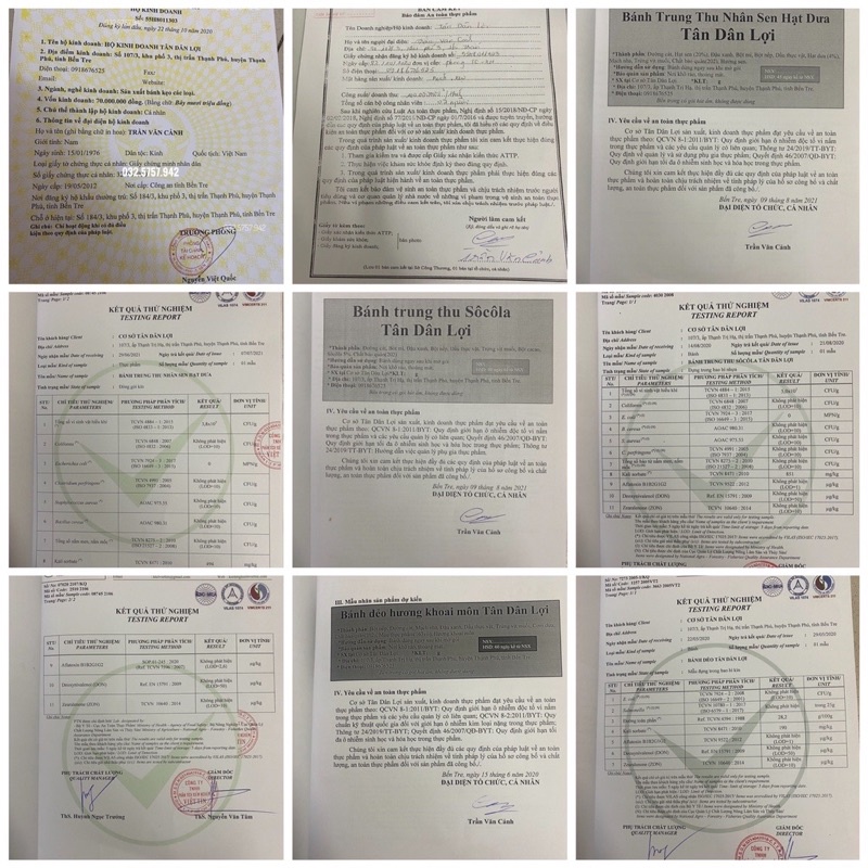 Bánh trung thu nhân thập cẩm xá xíu 2trứng Tân Dân Lợi 200g