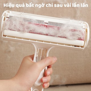 Cây lăn lông tĩnh điện