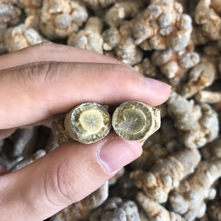 Củ Tam Thất Bắc 200 Gram
