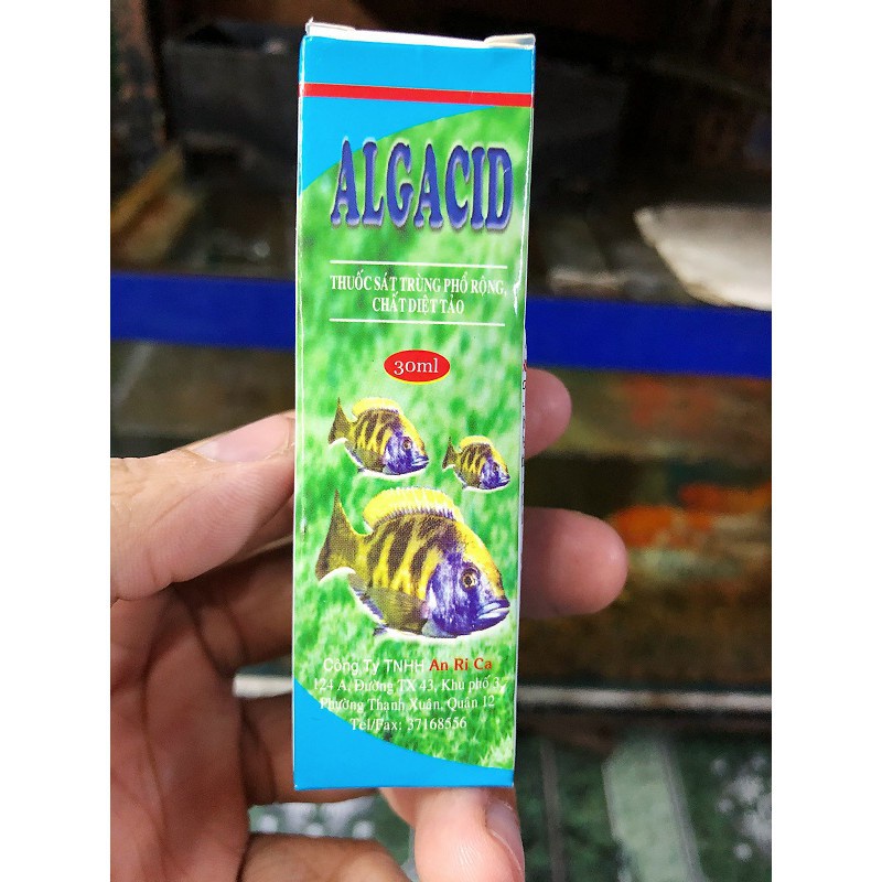 Combo 5 Chai Dung Dịch Diệt Rêu Tảo Algacid 30ml