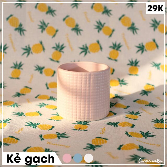 Chậu gốm nhỏ trồng cây để bàn mẫu Kẻ gạch