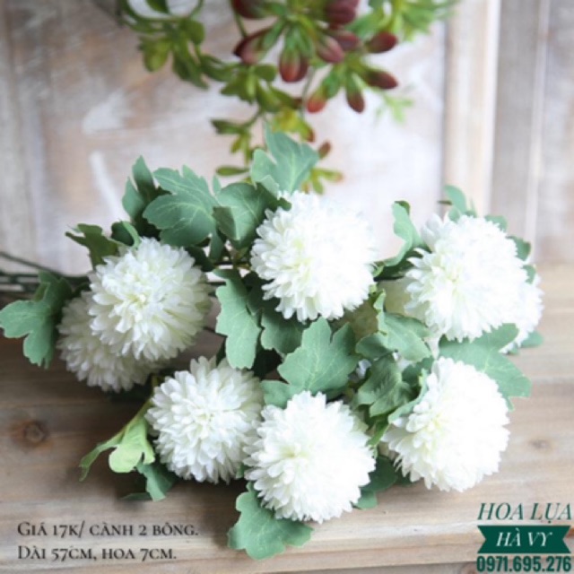 Hoa lụa | CÚC TÂY CAO CẤP (Cành 2 bông)