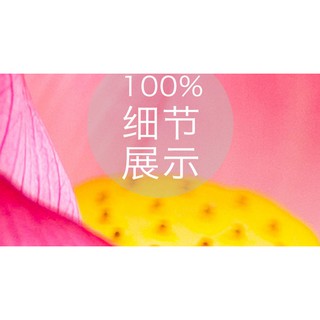 Tranh dán tường 3D Hoa Sen Đỏ MS690880