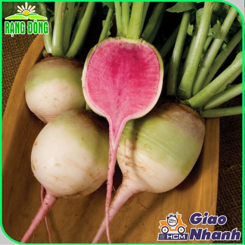 Hạt giống Củ Cải Ruột Hồng dễ trồng, sinh trưởng khỏe, ít sâu bệnh (gói 1 gr) - Hạt giống Rạng Đông