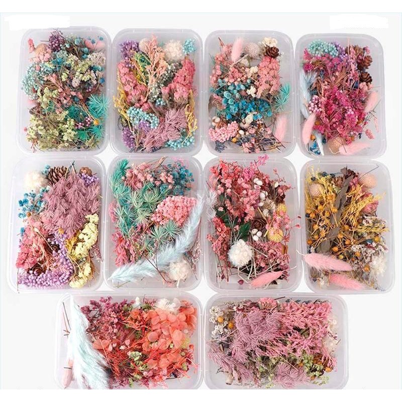 ❤️ Hộp hoa khô vĩnh cửu hỗn hợp 6 loại hoa ❤️ hoa khô nguyên liệu handmade ❤️ Resin ❤️ cài tóc❤️