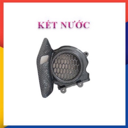 Ốp Carbon Vision 2021 7 Món Tùy Chọn Artista Chính Hãng