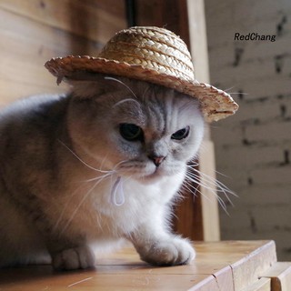 Nón Cối Rộng Vành Cho Thú Cưng