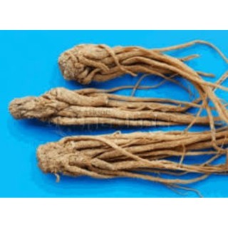 Sỉ lẻ sâm quy 100g - 200g - 300g
