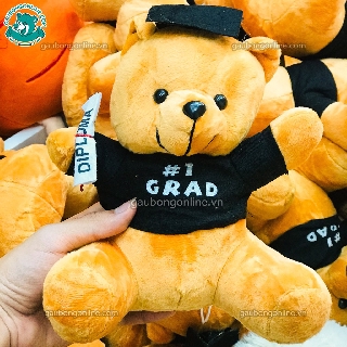 Gấu bông tốt nghiệp cử nhân 20cm