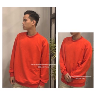 ÁO NỈ TRƠN BASIC CÁC MÀU | SWEATER | BASIC SWEATER