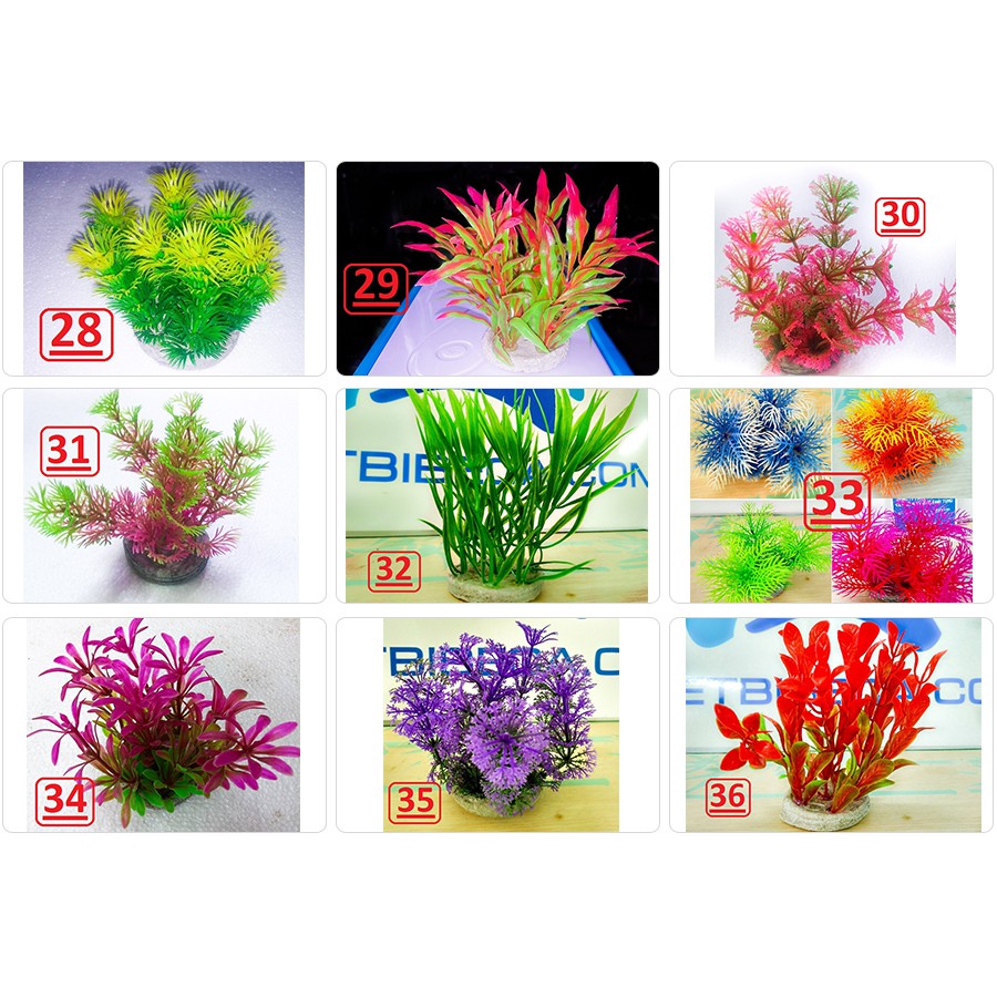 Tặng Thêm 1 Cây Nhựa Thấp Khi Mua Combo 5 Cây Nhựa Thấp Trang Trí Bể Cá