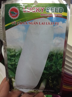 Hạt giống cải củ