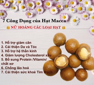 HẠT MACCA _ gói 500gr