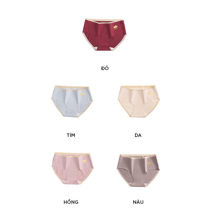Quần lót nữ cotton cao cấp cạp ép không viền kháng khuẩn siêu đẹp QL02 | BigBuy360 - bigbuy360.vn