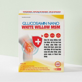 GLUCOSAMIN NANO WHITE WILLOW MSM