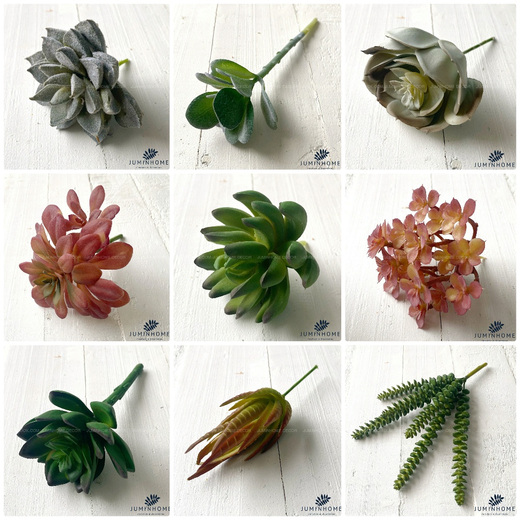 Hoa đá Xương Rồng giả Decor Trang trí Nội thất, Sen đá Cây giả Hoa trang trí nhà cửa