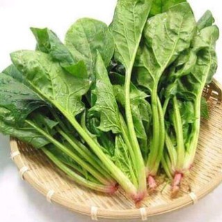 Hạt giống cải bó xôi , cải chân vịt - độ nảy mầm cao