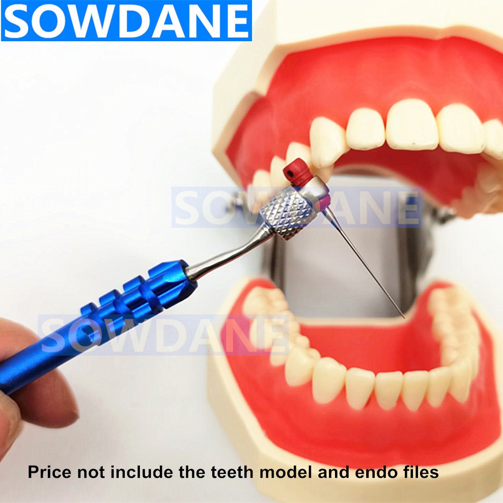 Giá Đỡ Tệp Chỉnh Nha Chuyên Dụng