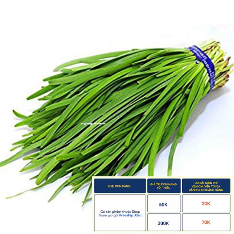 1GR - HẠT GIỐNG CÂY HẸ