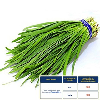 1GR - HẠT GIỐNG CÂY HẸ