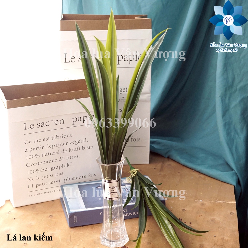 CÂY LÁ GIẢ 🌺 LÁ LAN KIẾM CÓ RỄ