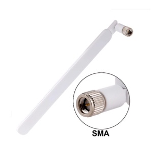 Anten GSM 3G 4G 5G 8dBi Đầu SMA