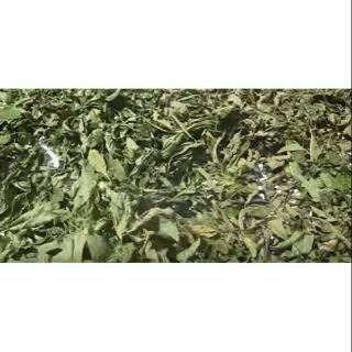 Lá đắng khô  100g
