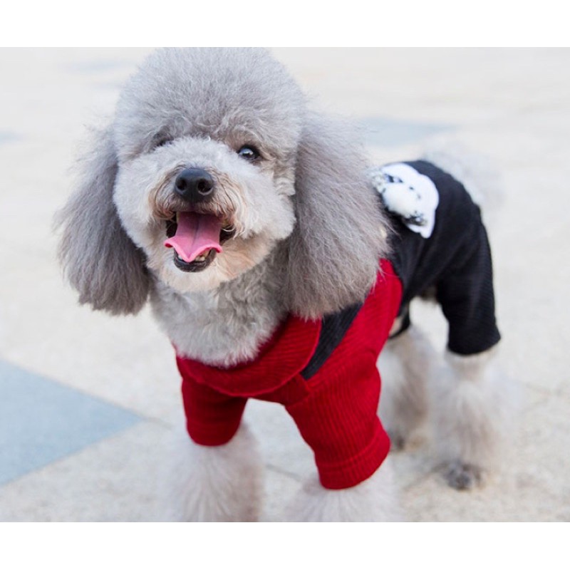 Bộ liền quần 4 chân HP