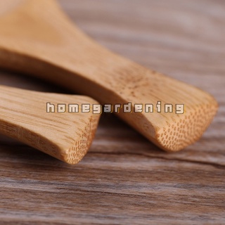 1 Muỗng Gỗ Múc Gia Vị
