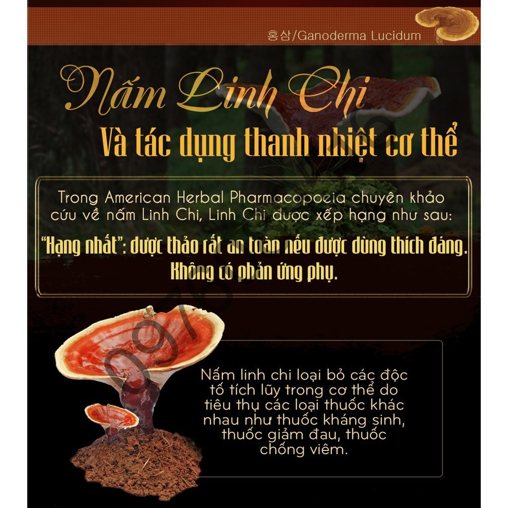 [SALE GIÁ SỐC] Nấm Linh Chi túi cờ Hàn Quốc, Túi 1Kg