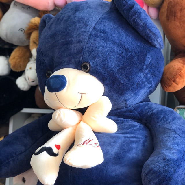 Gấu teddy lông xanh 1m8