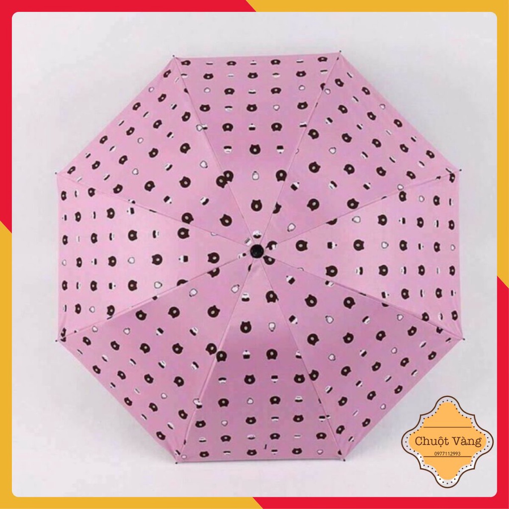 Ô, dù hình gấu đủ màu